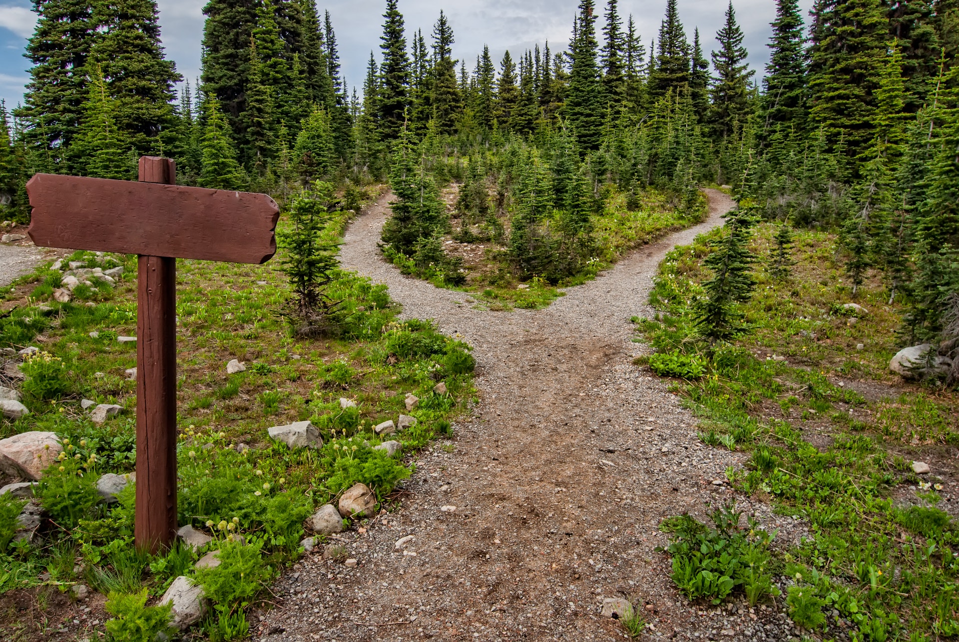 the-cancer-continuum-finding-your-own-way-empowering-patients