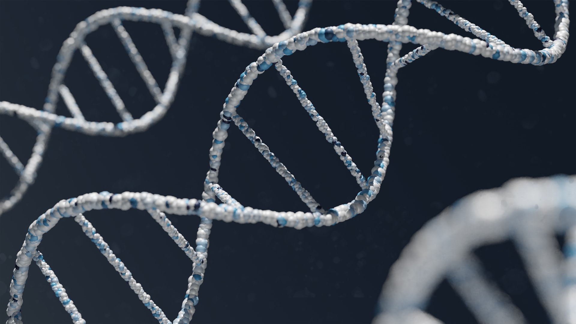 Close-up of a DNA double helix structure with strands and connecting base pairs visible, set against a dark background. The image highlights the twisted ladder shape, symbolizing advances in adaptive therapy for the future of cancer treatment.