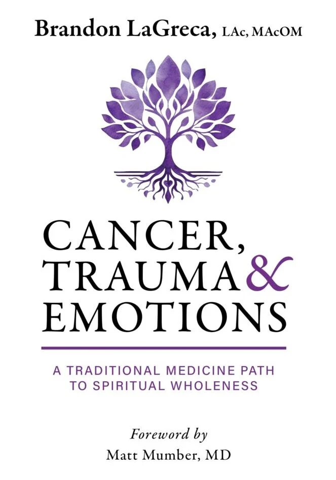 Book cover for Cancer, Trauma & Emotions by Brandon LaGreca featuring a purple tree with roots. Subtitle: A Traditional Medicine Path to Spiritual Wholeness. Foreword by Matt Mumber, MD. Empowering people on their cancer journey.